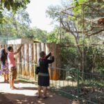 ZOO DF