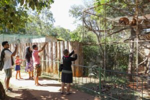 ZOO DF