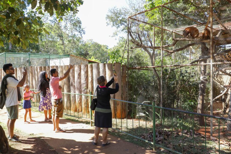 ZOO DF