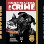 maus-tratos animais