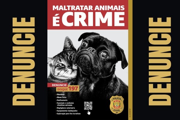 maus-tratos animais