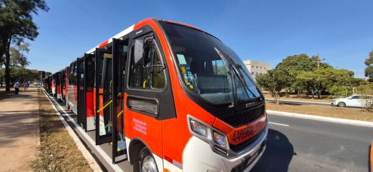 onibus zebrinha