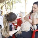 vacinacao antirrabica_Easy-Resize.com