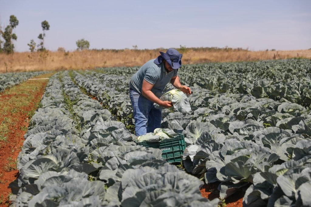 Foto Matheus H. Souza.Agência Brasília