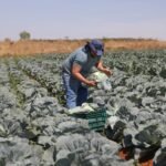 Foto Matheus H. Souza.Agência Brasília