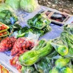 feira_Easy-Resize.com